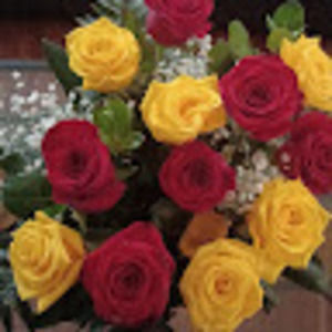 Meet your Posher, Linda